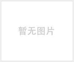 干燥炉网带 耐高温镍铬Cr20Ni80干燥炉网带